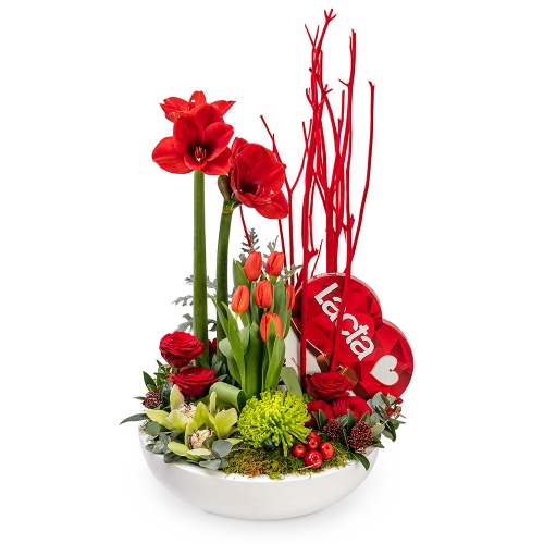 Flower arrangement with amaryllis and Lacta 